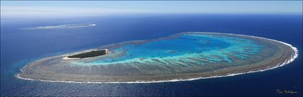 Lady Musgrave Island - QLD (PBH4 00 18361)